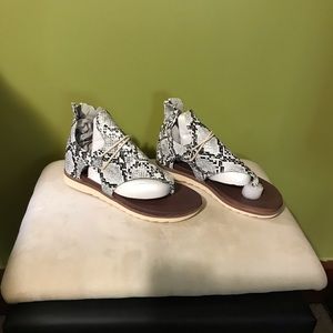 Meet your Posher, Norma